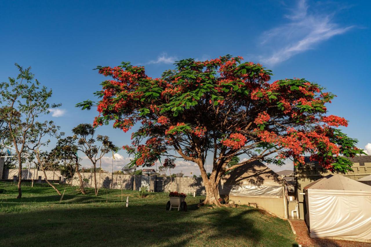 Pousada Camelot Inn Alto Paraíso de Goiás Exterior foto